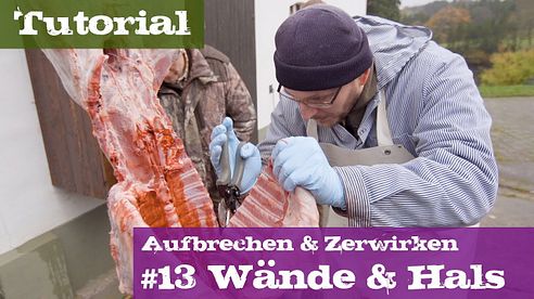 #13 Wände & Hals abtrennen - Schwarzwild - Lehrgang Aufbrechen & Zerwirken