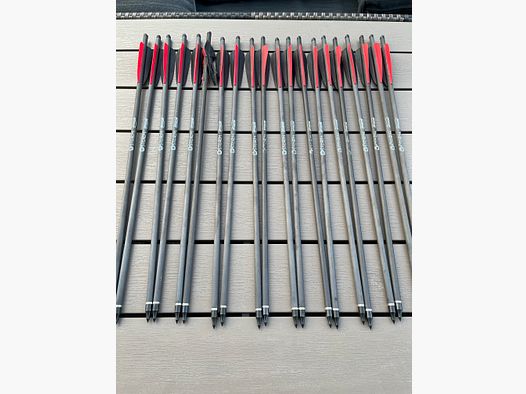 Pfeile Bolzen Armbrust Sphere Storm Carbon 20 Zoll 