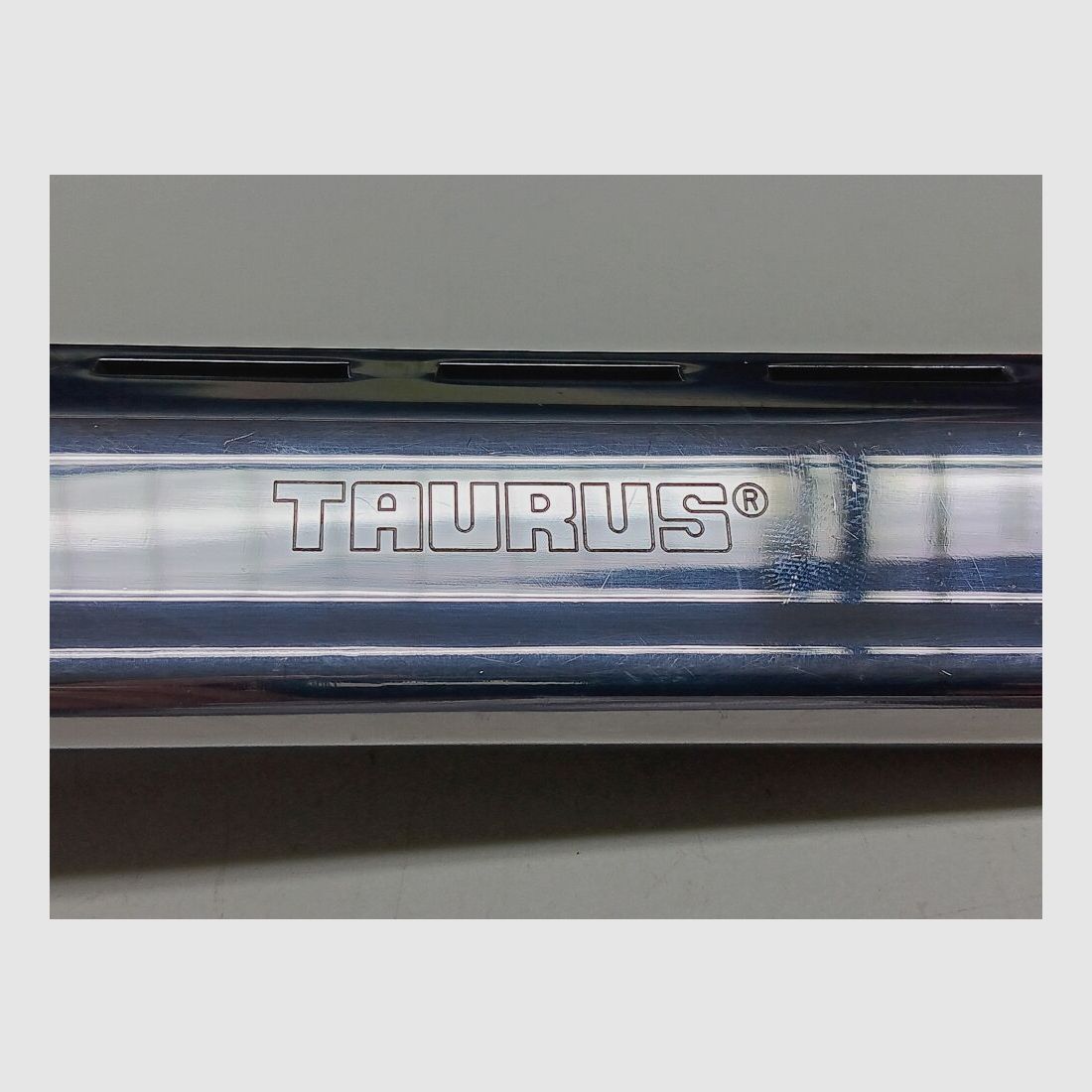 Taurus - Brazil Raging Bull
