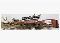 Sauer & Sohn 90 met Kahles Helia .308Win