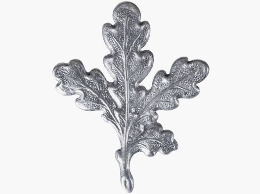 Fritzmann Keilerwaffendeckblatt