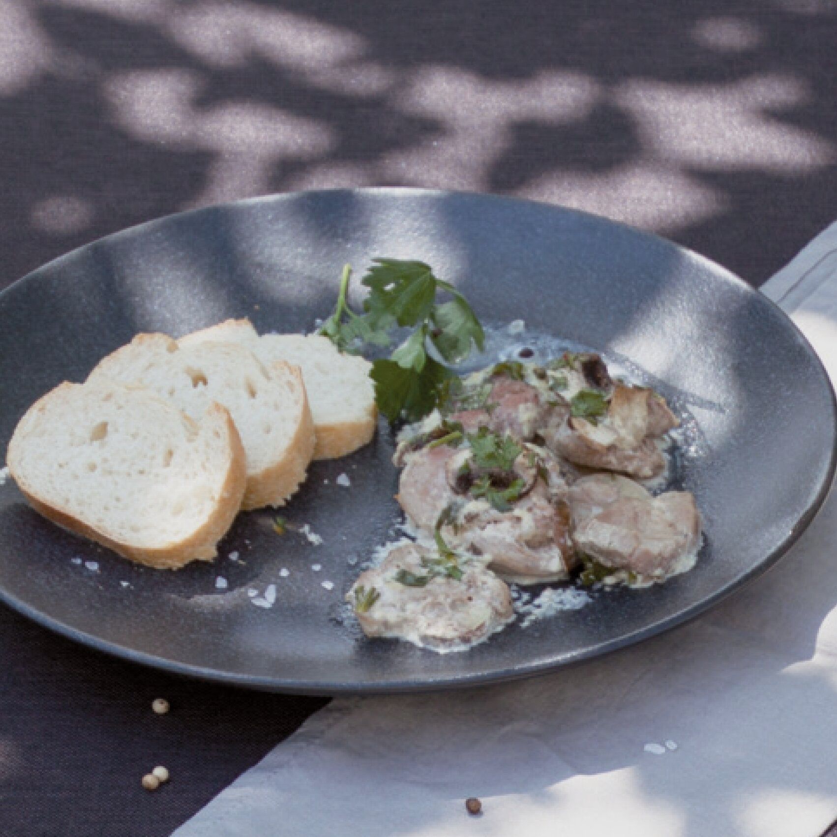 Cookbook "Best Savory Meat & Fish" Recipes for the Omnia Oven, image 6 of 6