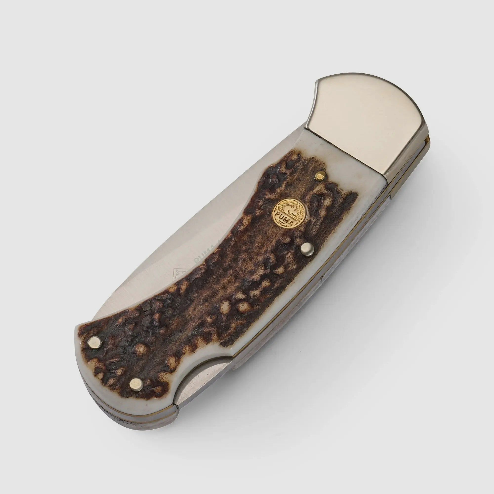 PUMA 4-star stag