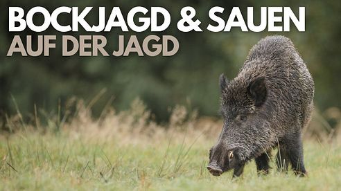 BOCKJAGD & SAUEN