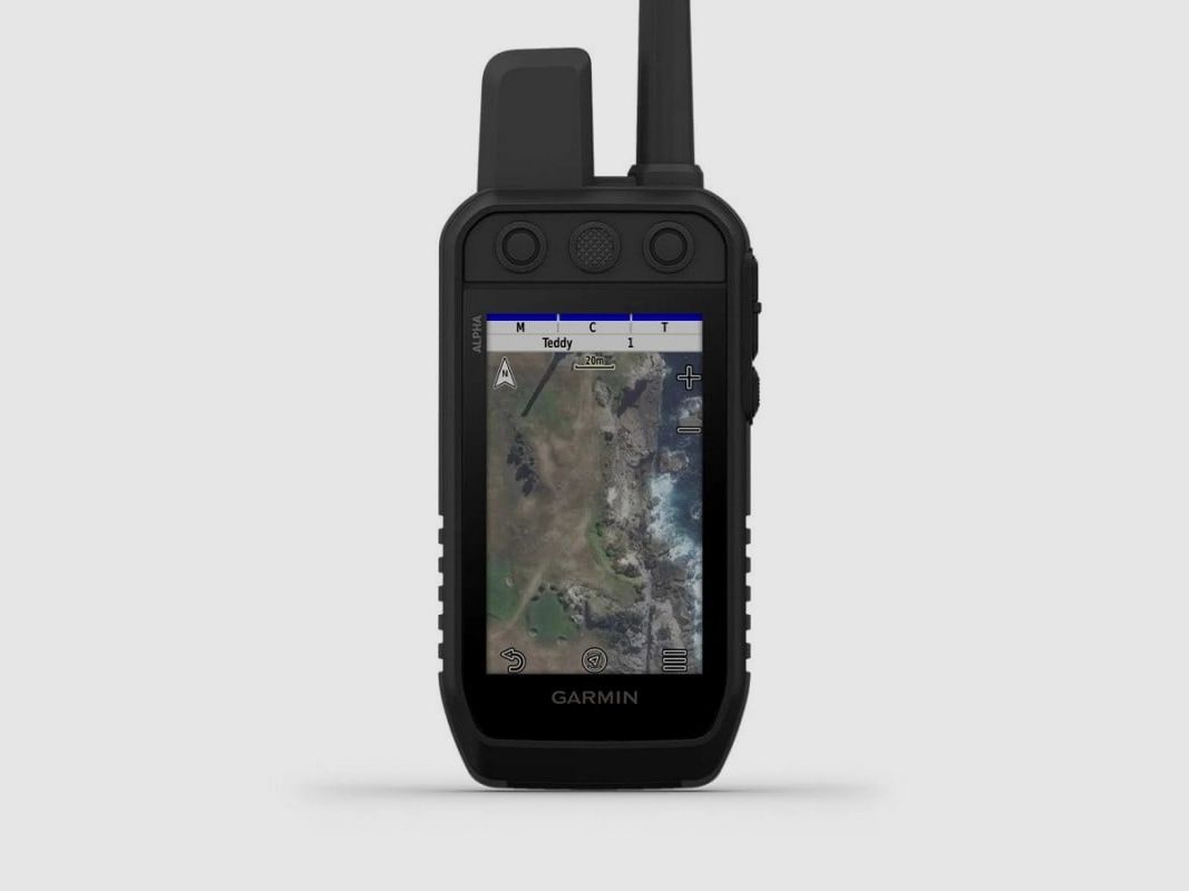 GARMIN PALMARE ALPHA 300K, Bild 5 von 10