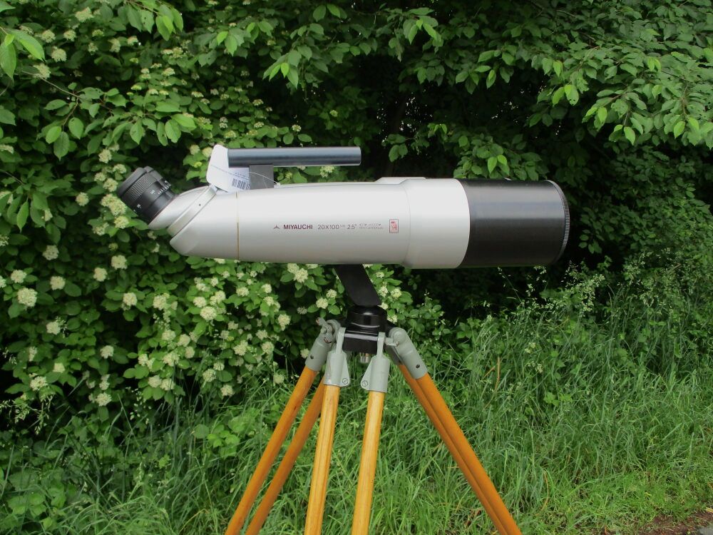 Miyauchi Mod. BJ100i