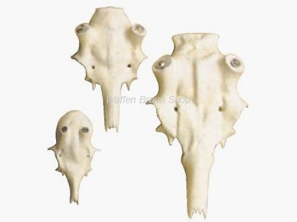 >Fallow deer skull made of aluminum Rosenstock diameter 25 mm