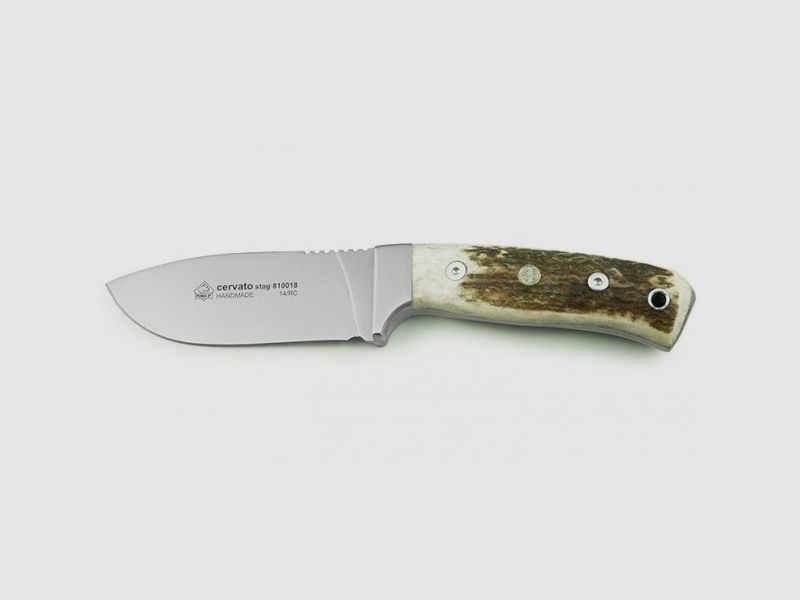 PUMA IP cervato, stag