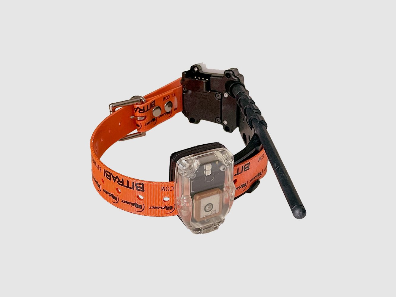 Hunting dog collar MITO 5300 BITRABI, image 2 of 4
