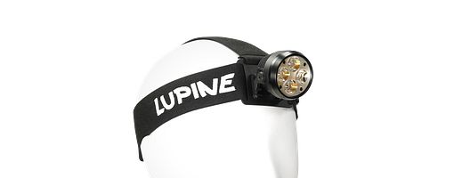 Lupine Lightning Wilma