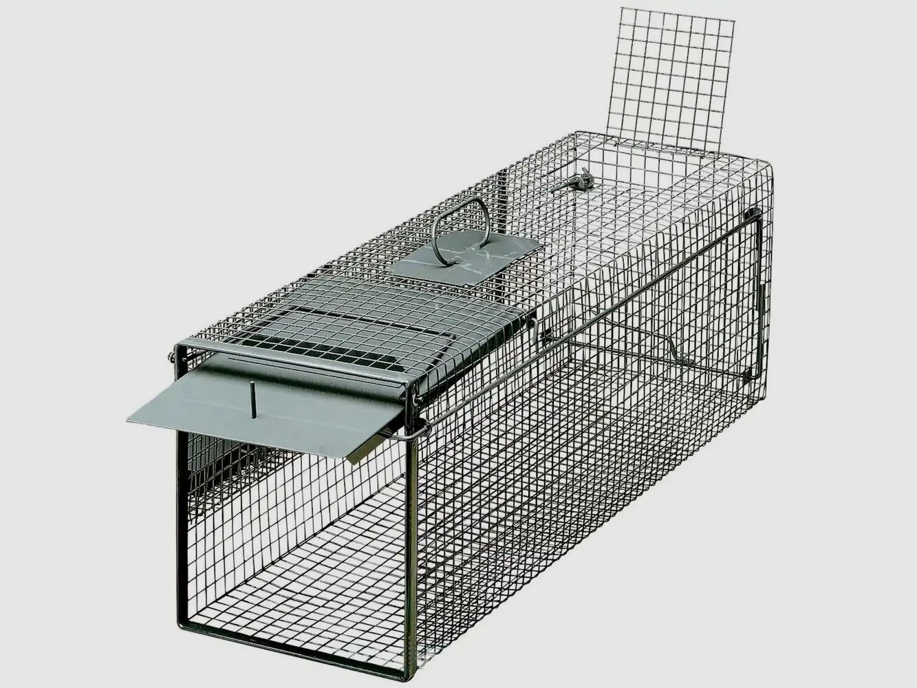 Frankonia trap live catch – single door folding doors