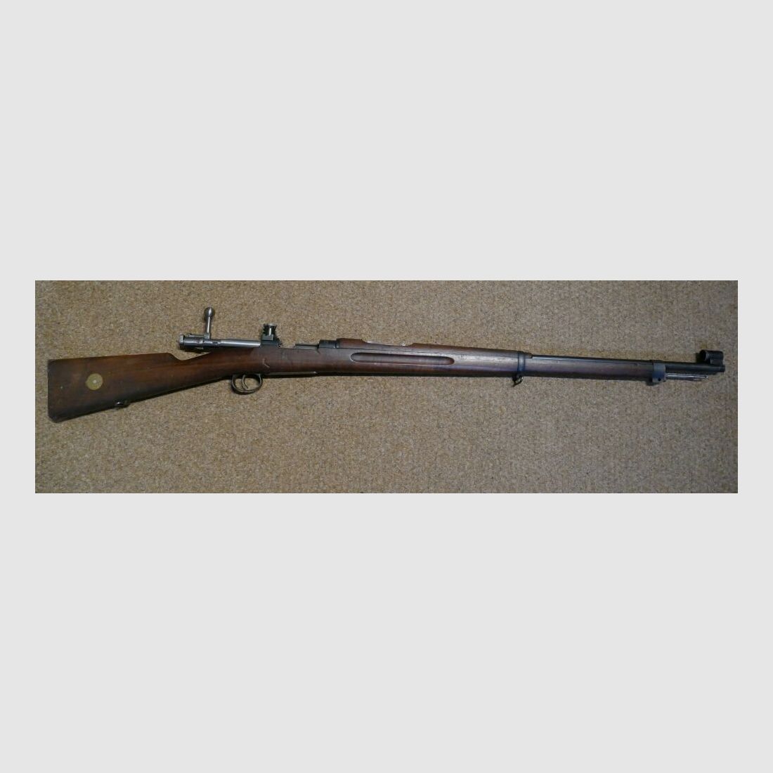 Carl Gustafs M 96