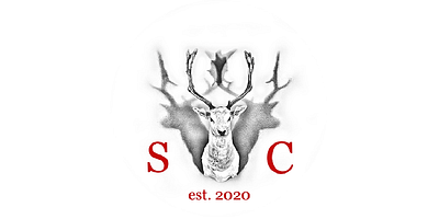 SaynConsult e.U.