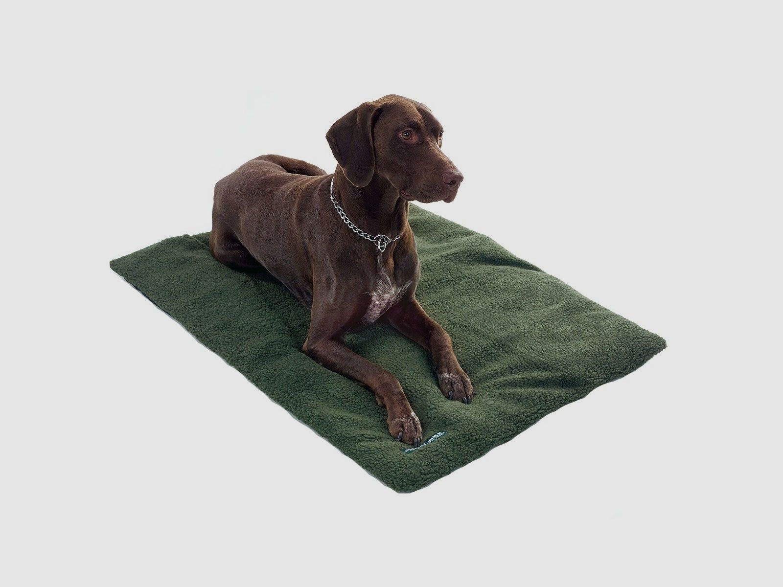 Pro-Thermo Tappetino per cani, 70 x 50 / 70 x 100 cm Verde, immagine 4 di 6