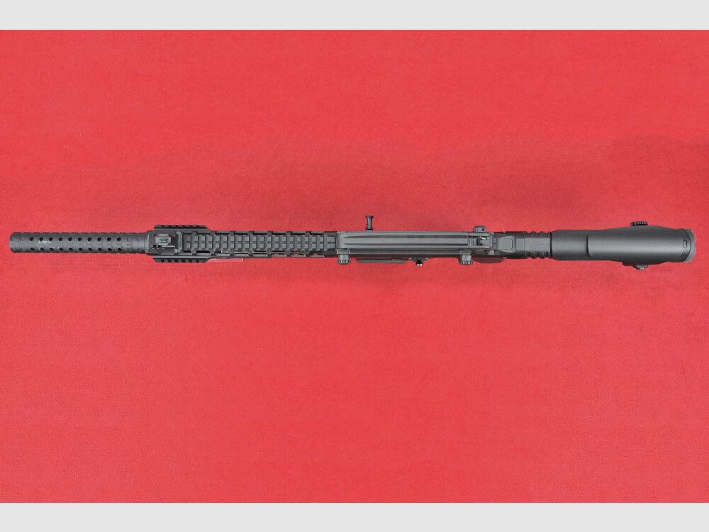 Pallas PX-2 20/76 Selbstladeflinte, Bild 2 von 3