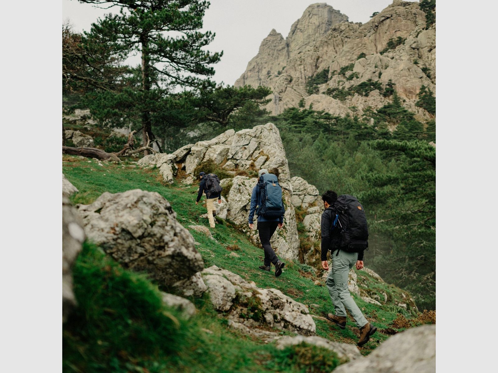 Pantalons de randonnée FJÄLLRÄVEN Abisko M Regular Brun sarrasin