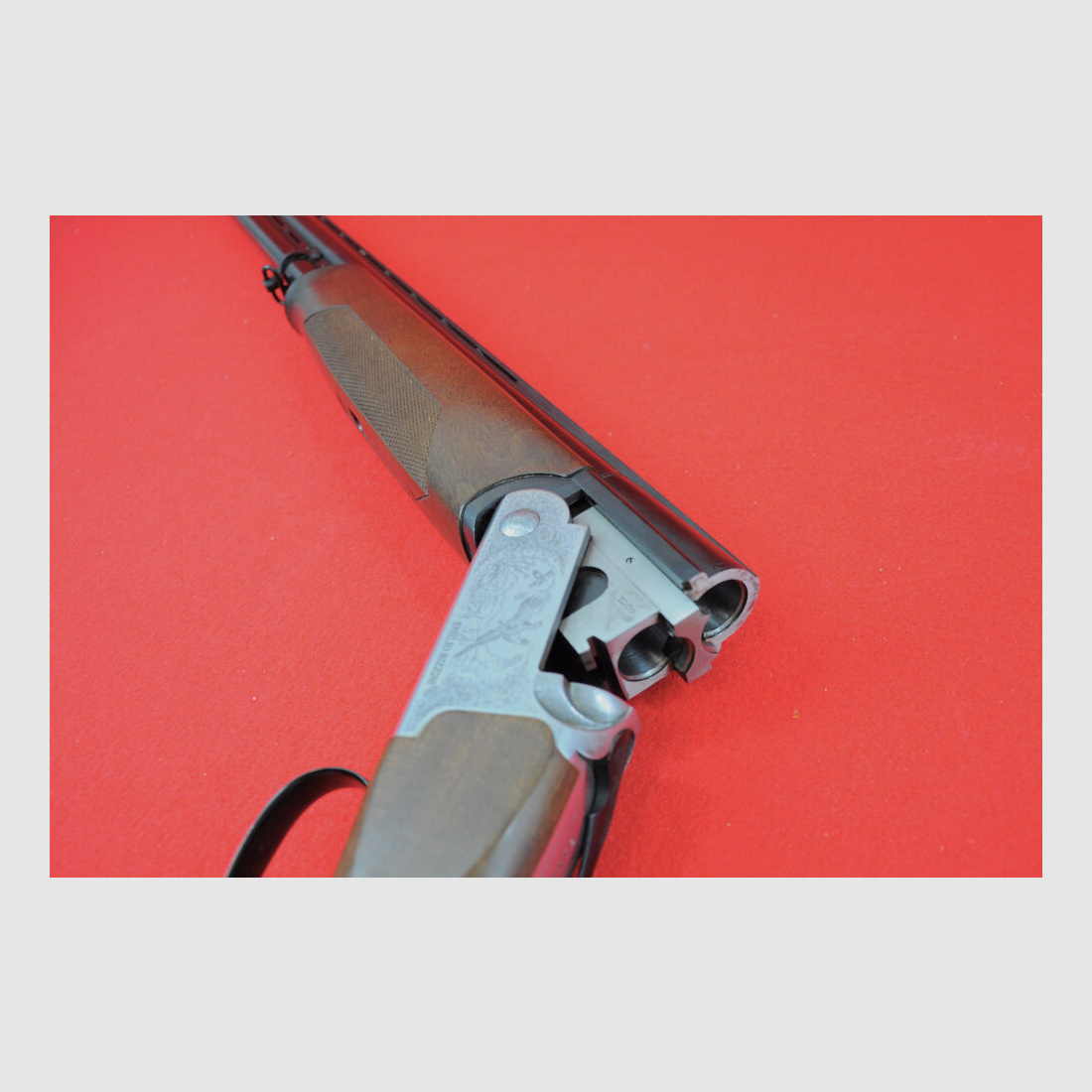 Rizzini Albion