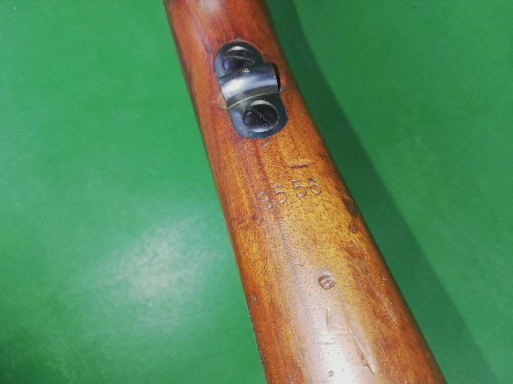 Brasilienmauser 1908