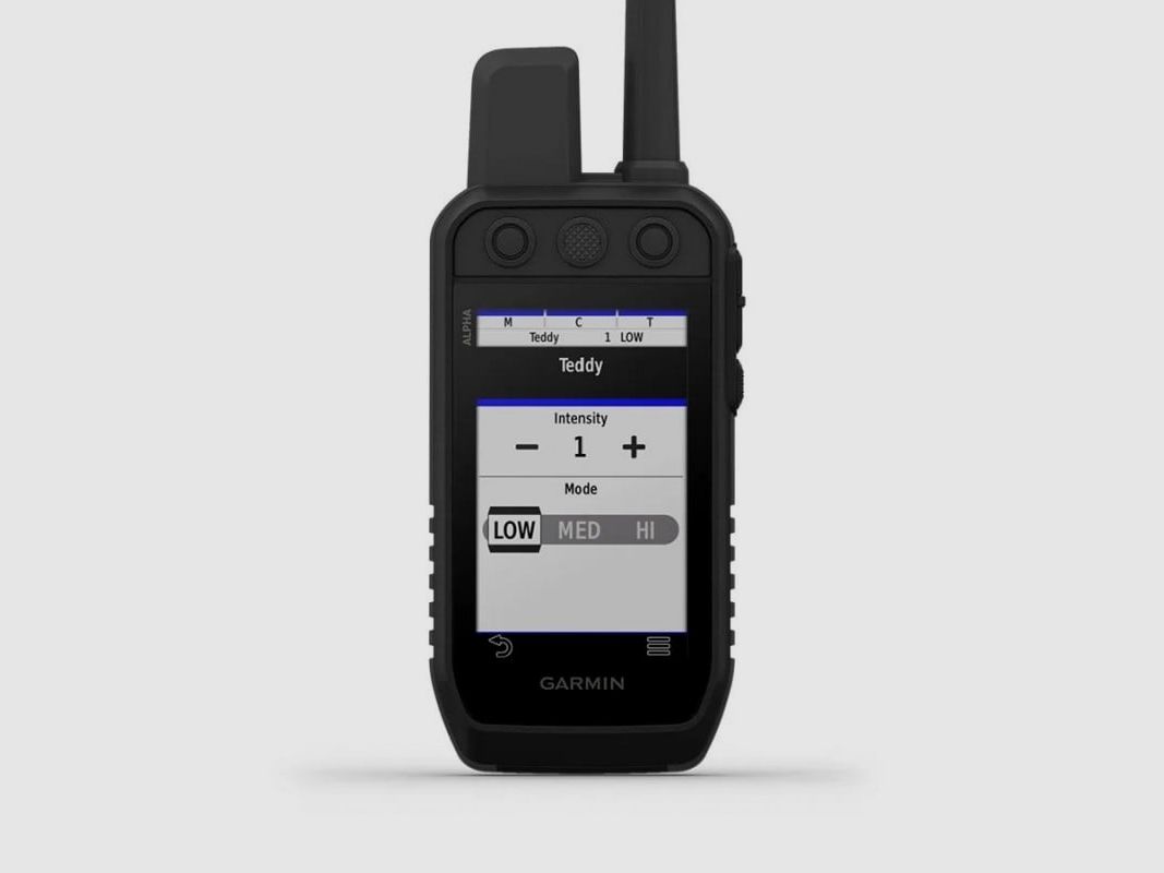 GARMIN PALMARE ALPHA 300K, Bild 4 von 10