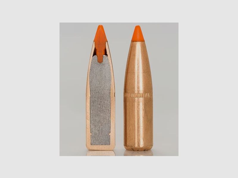 Norma 30-06 Tipstrike 170 gr Munition, Bild 8 von 10