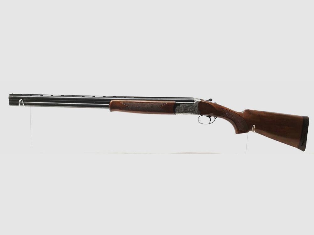 Kettner Campione, zdjęcie 1 z 10