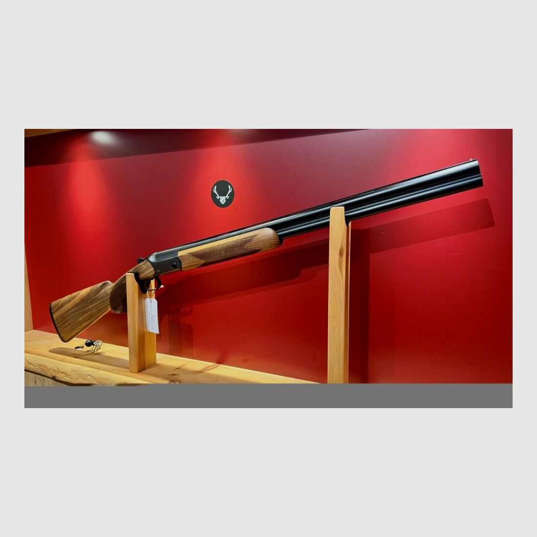 Blaser F16 Game