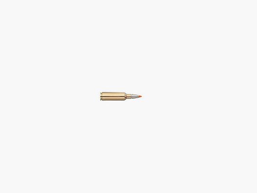 RWS Hit 270 WSM 130 grains bleifrei