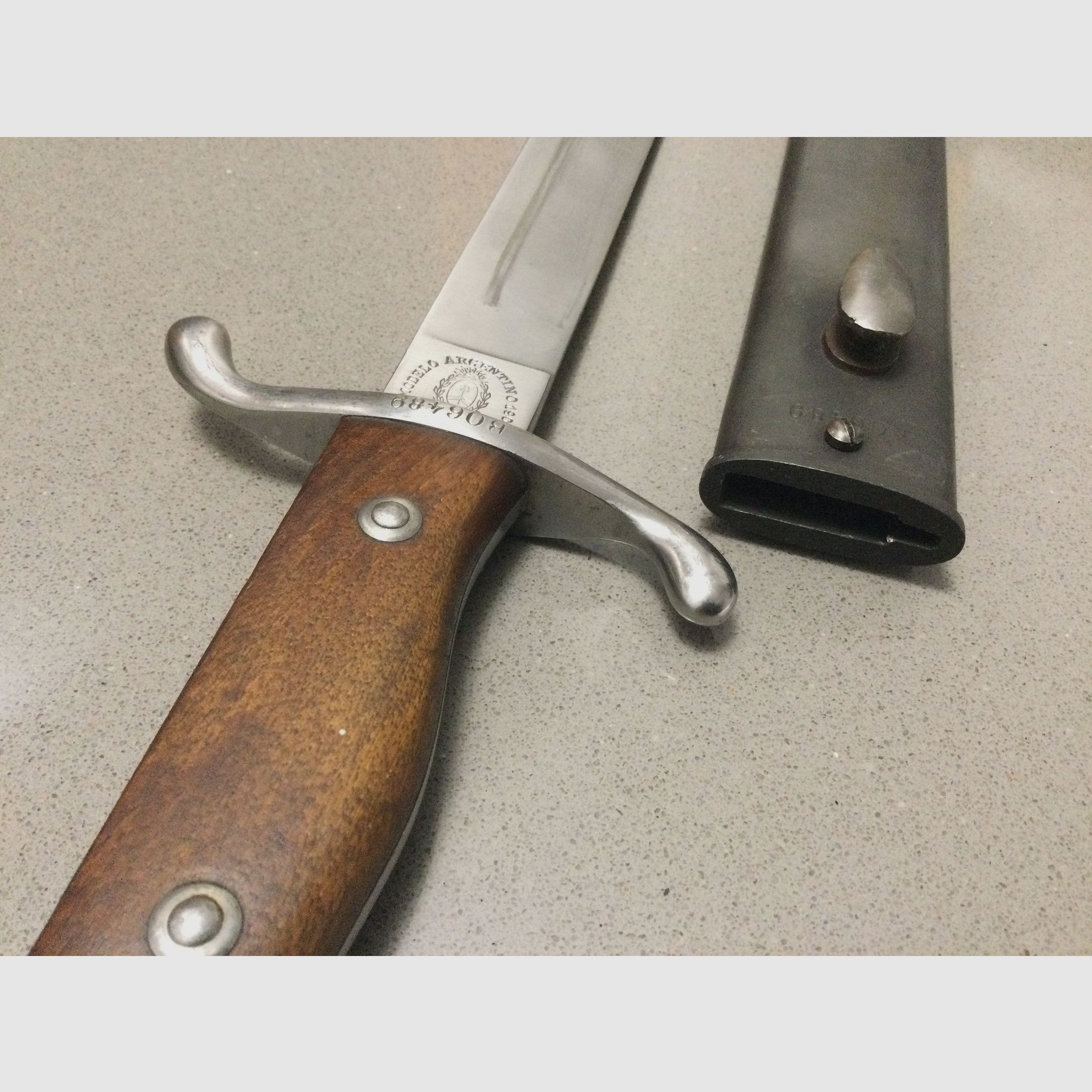 Bayonet, 1909, Modelo Argentino, nummerngleich, Stahlscheide