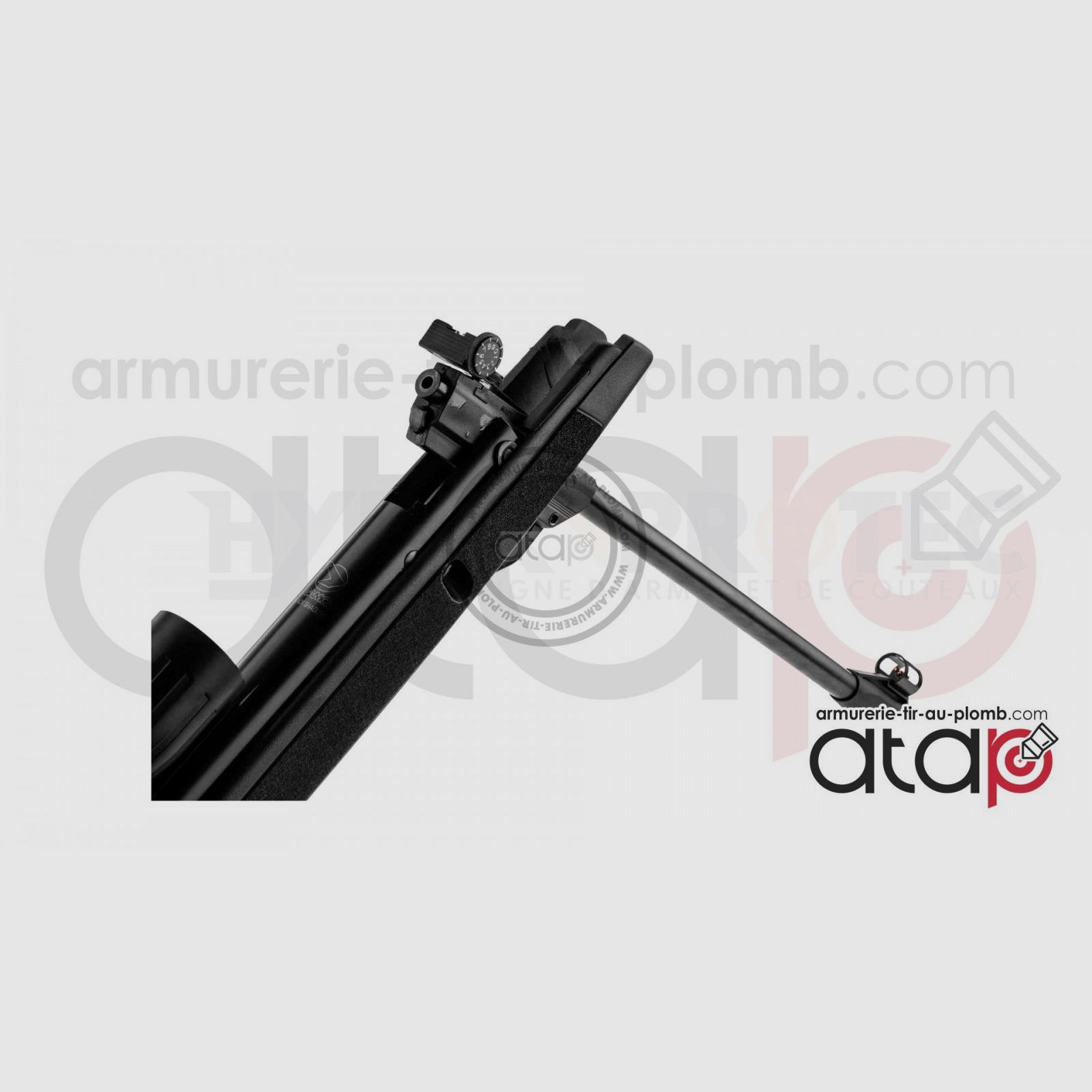 Gamo Big Cat 1000-E IGT - Carabina ad aria compressa, immagine 3 di 4
