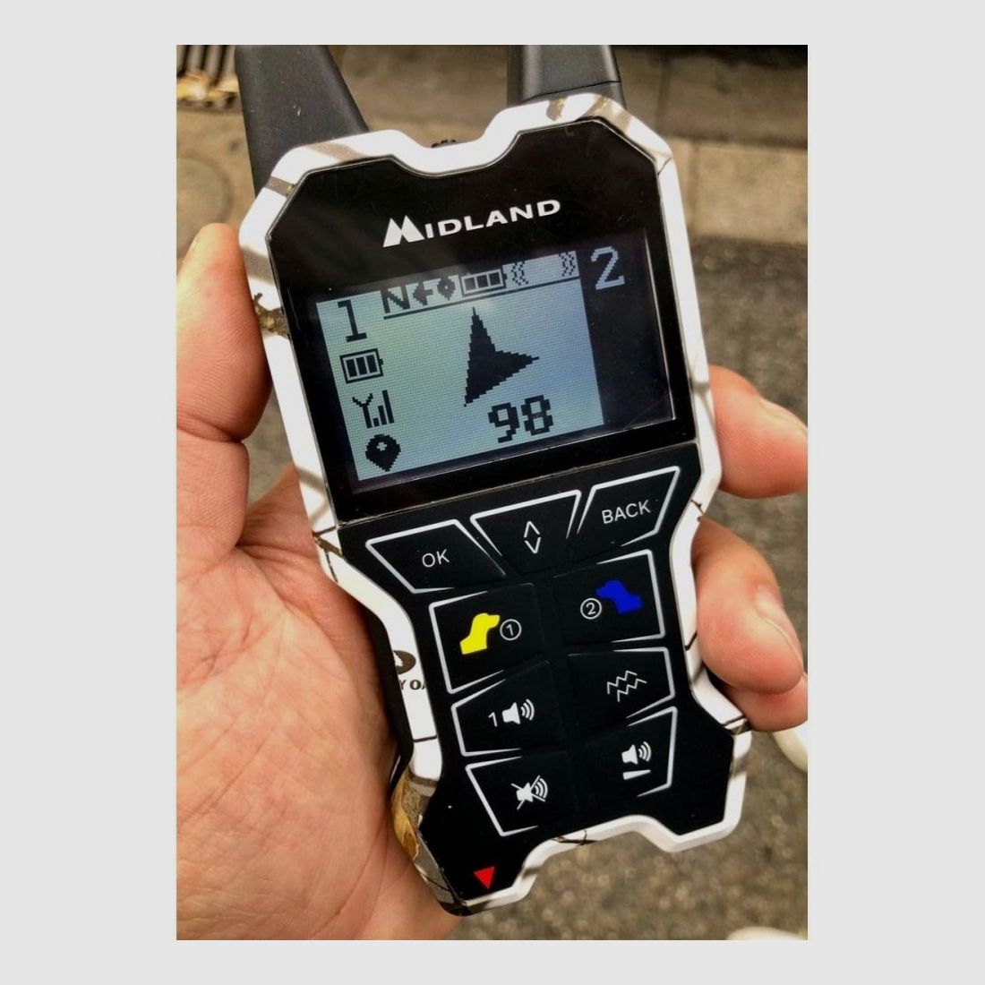 CANICOM Beeper One GPS NUOVO, immagine 2 di 3