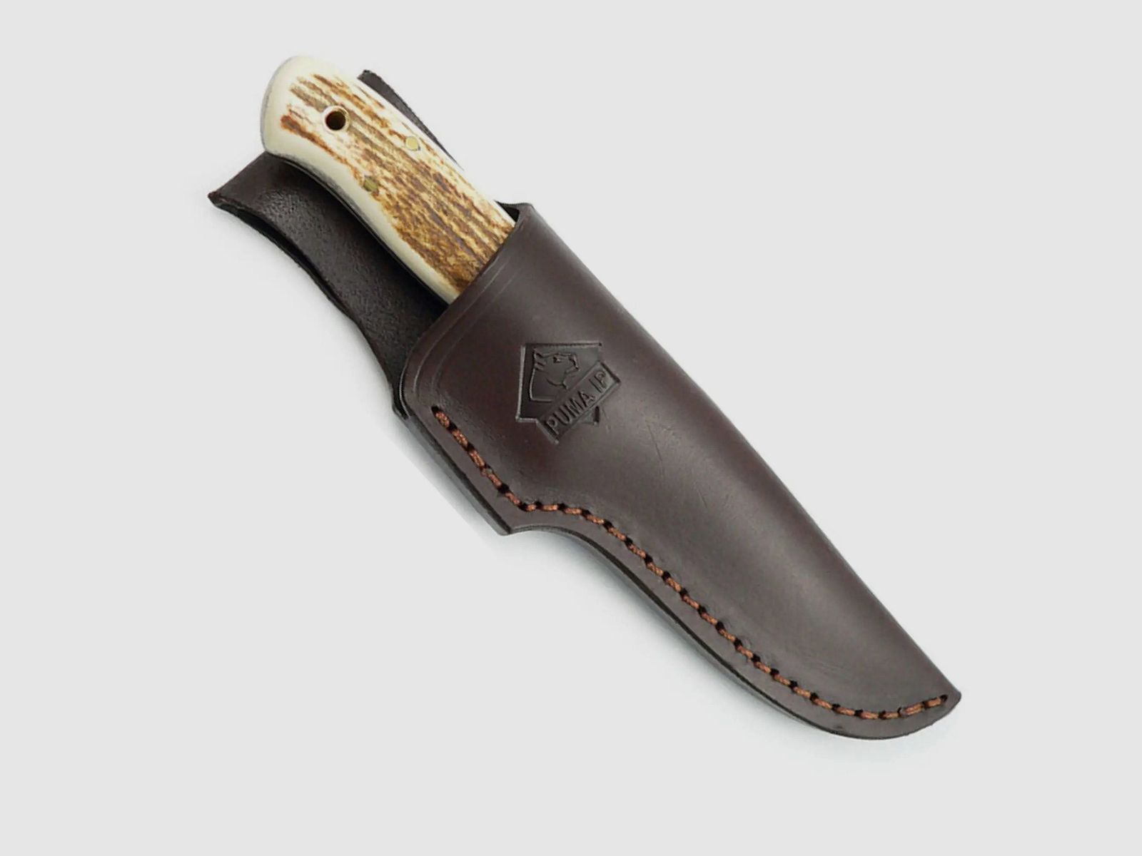 PUMA IP elk hunter, stag