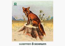 Deutscher Jagdverband DJV-Luftgewehr-Jagdscheibe Fuchs