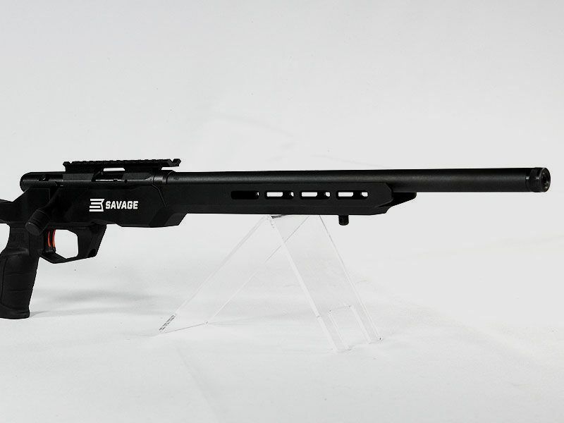 SAVAGE B22 Precision