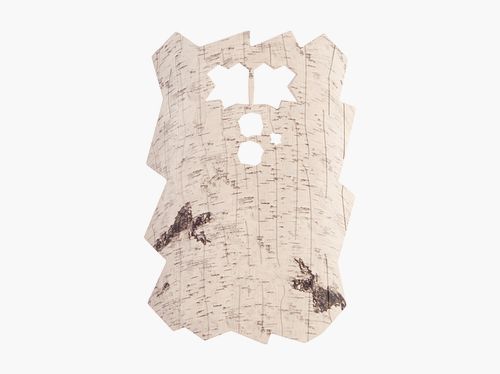 Minox DTC 460 Trail Camera Front Cover Birch