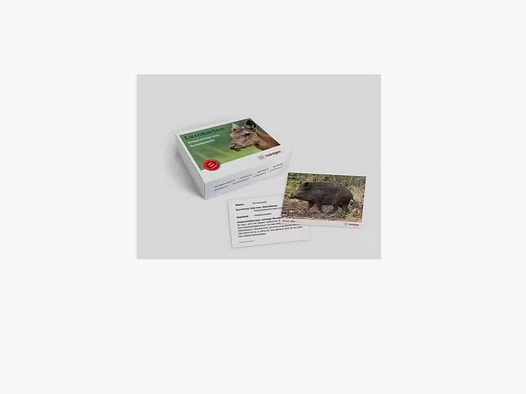 Karty do nauki Heintges