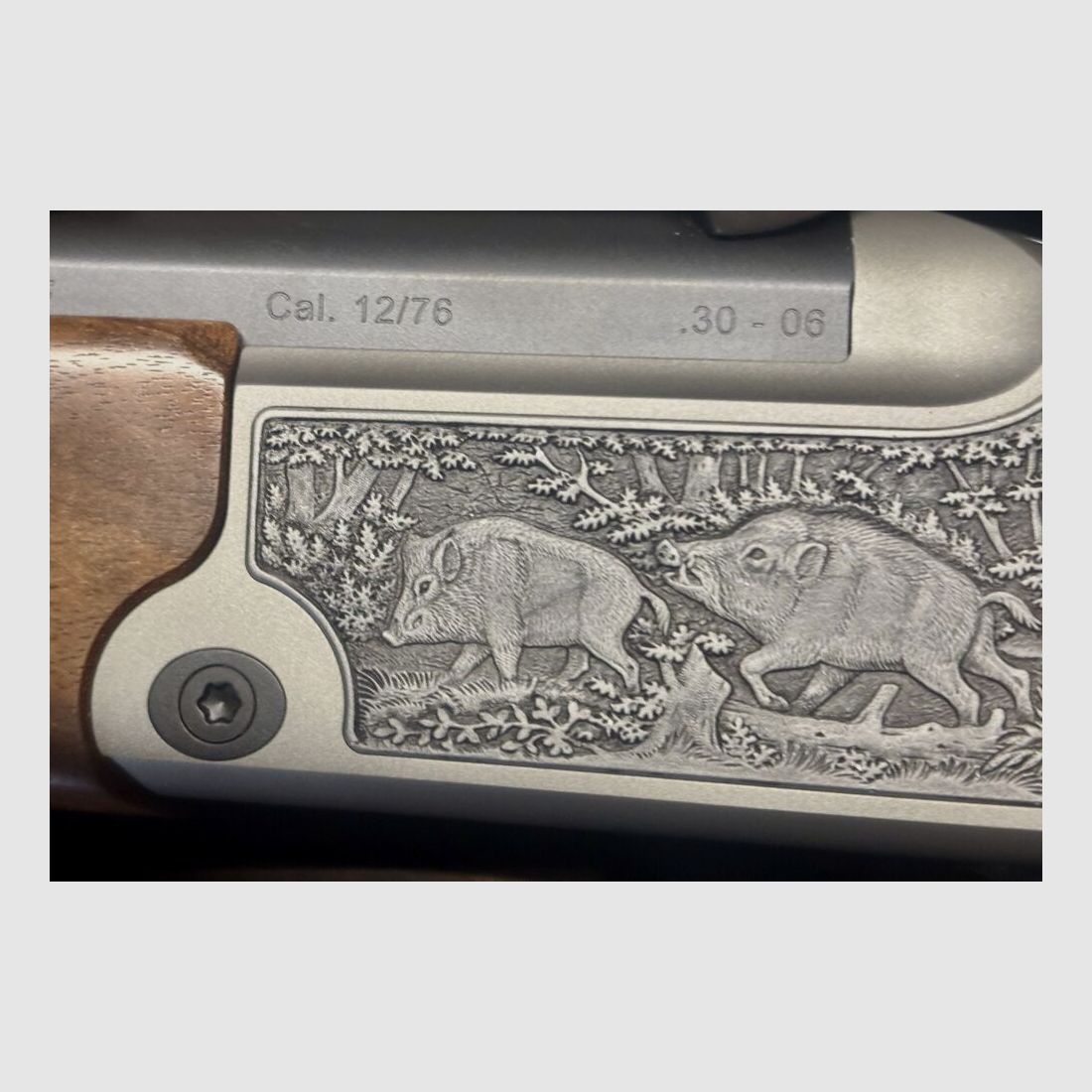 Blaser 95 12/76;.30-06Spring