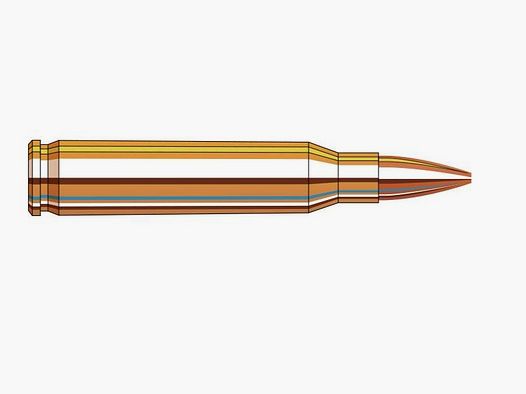 HORNADY 8026 CUSTOM RIFLE AMMO .223 REM 75GR BTHP MATCH 20/2