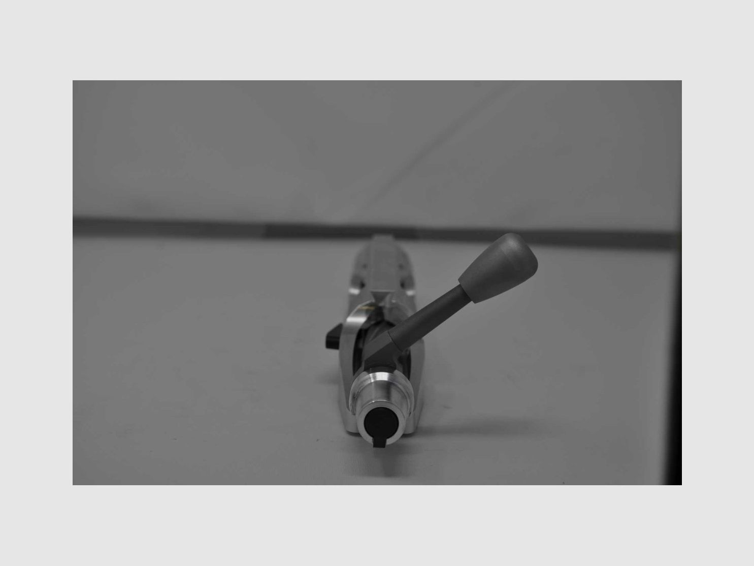 KELBLY AZIONE PANDA, immagine 2 di 13