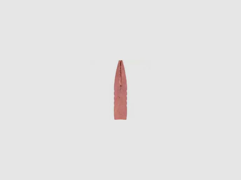 Federal Federal Jagdmunition mit bleifreien Barnes TSX Geschoss. TSX = Tripple Shock X bleifreies Geschoss
