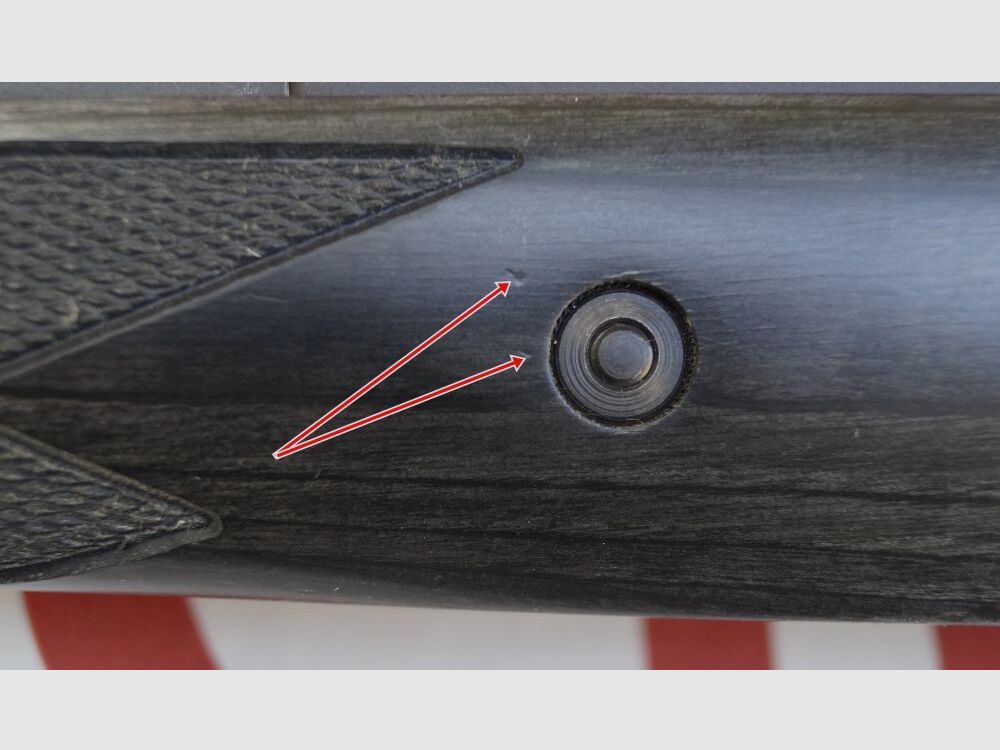 Ruger Scout