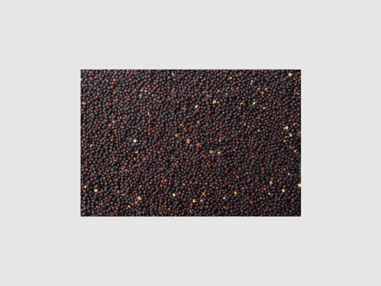 Zündhütchen Colza Brut Vrac Poseidon Particles