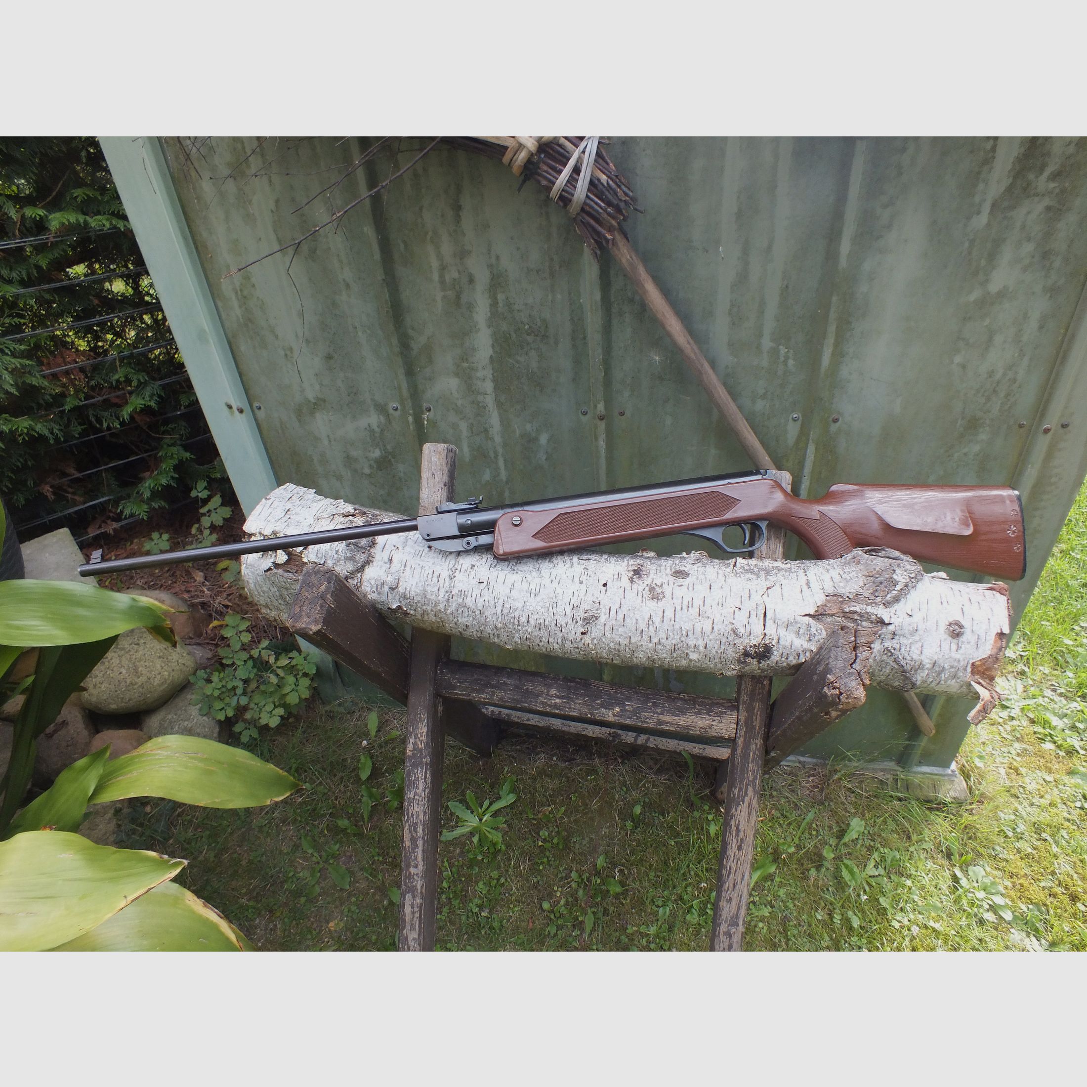 Air rifle Haenel 304 brown with grain. For collectors