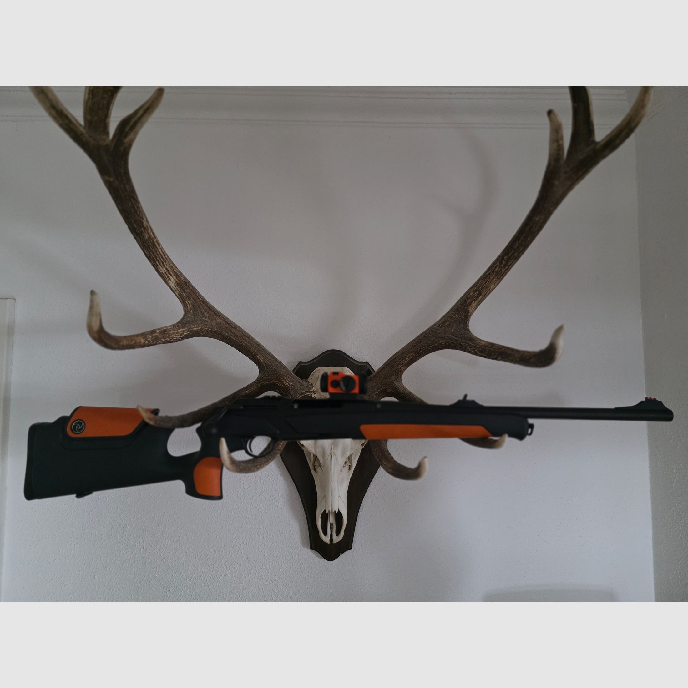 Merkel Speedster Semi Lauf Orange/Schwarz 308