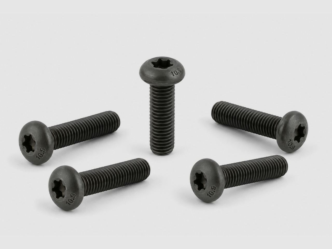 Spuhr Schrauben für Spannpratze M5x35 TX20 - 5 Stück