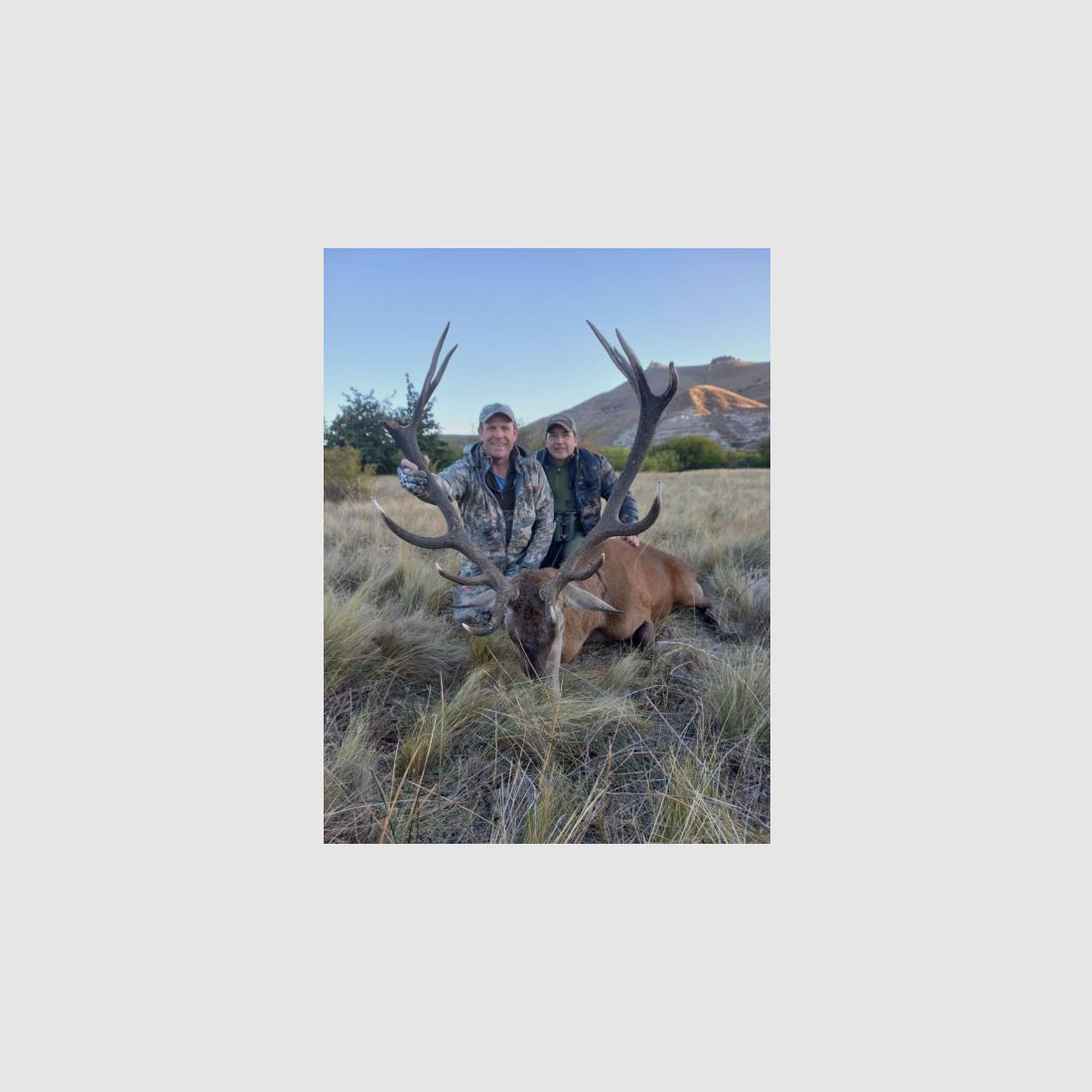 Auf starke Rothirsche in Patagonien! Eine fantastische Jagd!