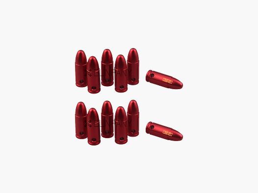 Training case 9MM X 12