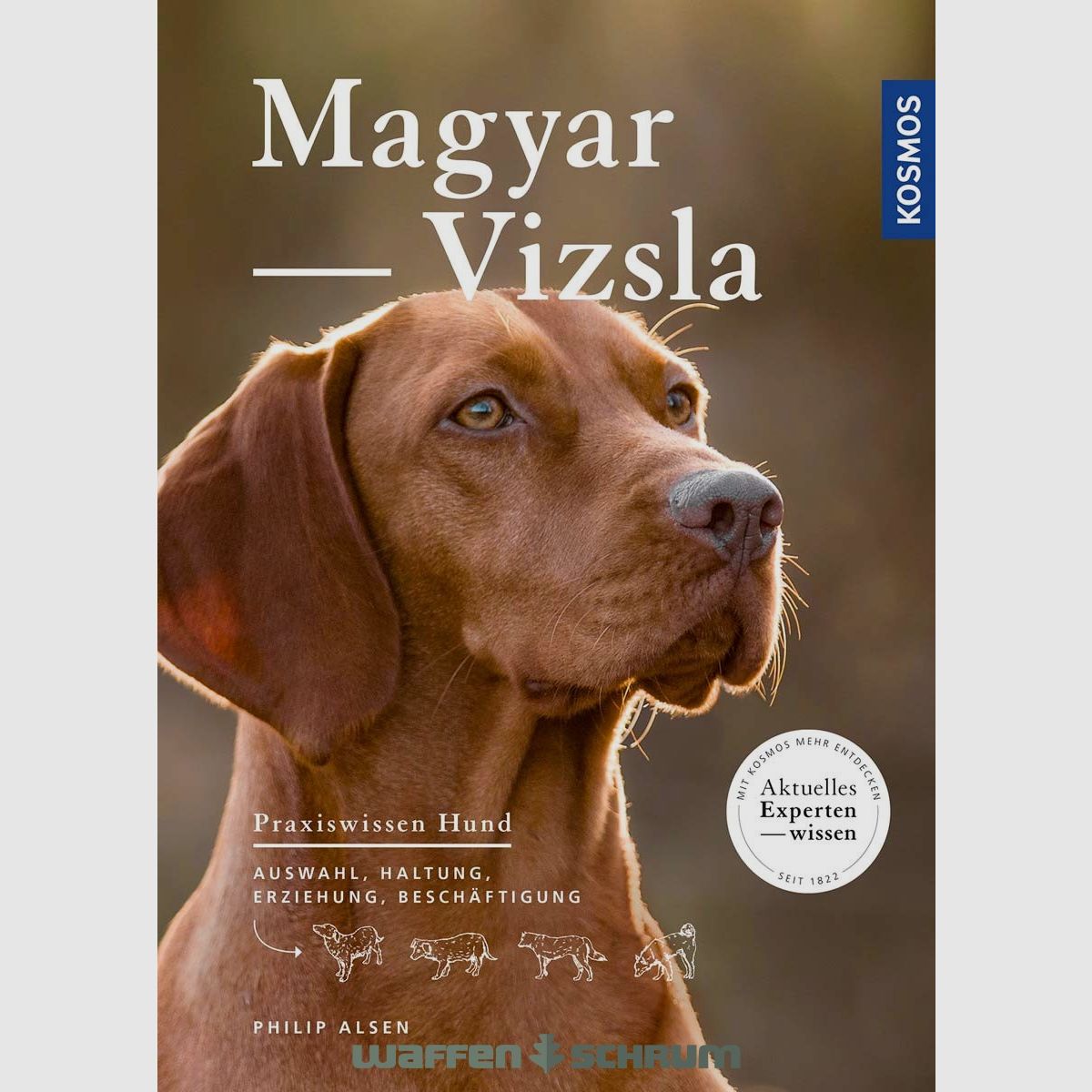 Kosmos Węgierski Vizsla Philip Alsen