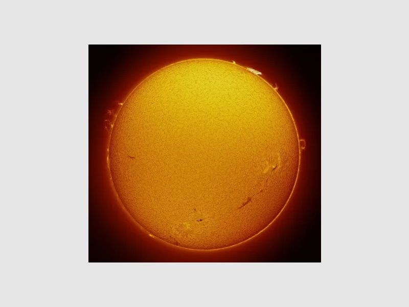 Filtro solar H-Alpha LUNT LS50FHa/B1200d2, imagen 11 de 13