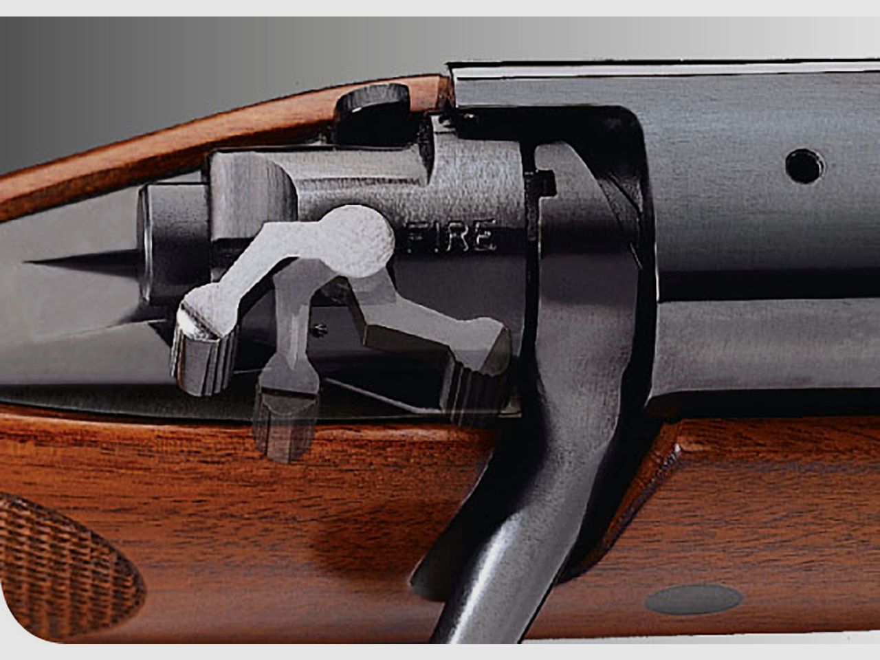Winchester Model 70 Safari Express, Bild 2 von 3