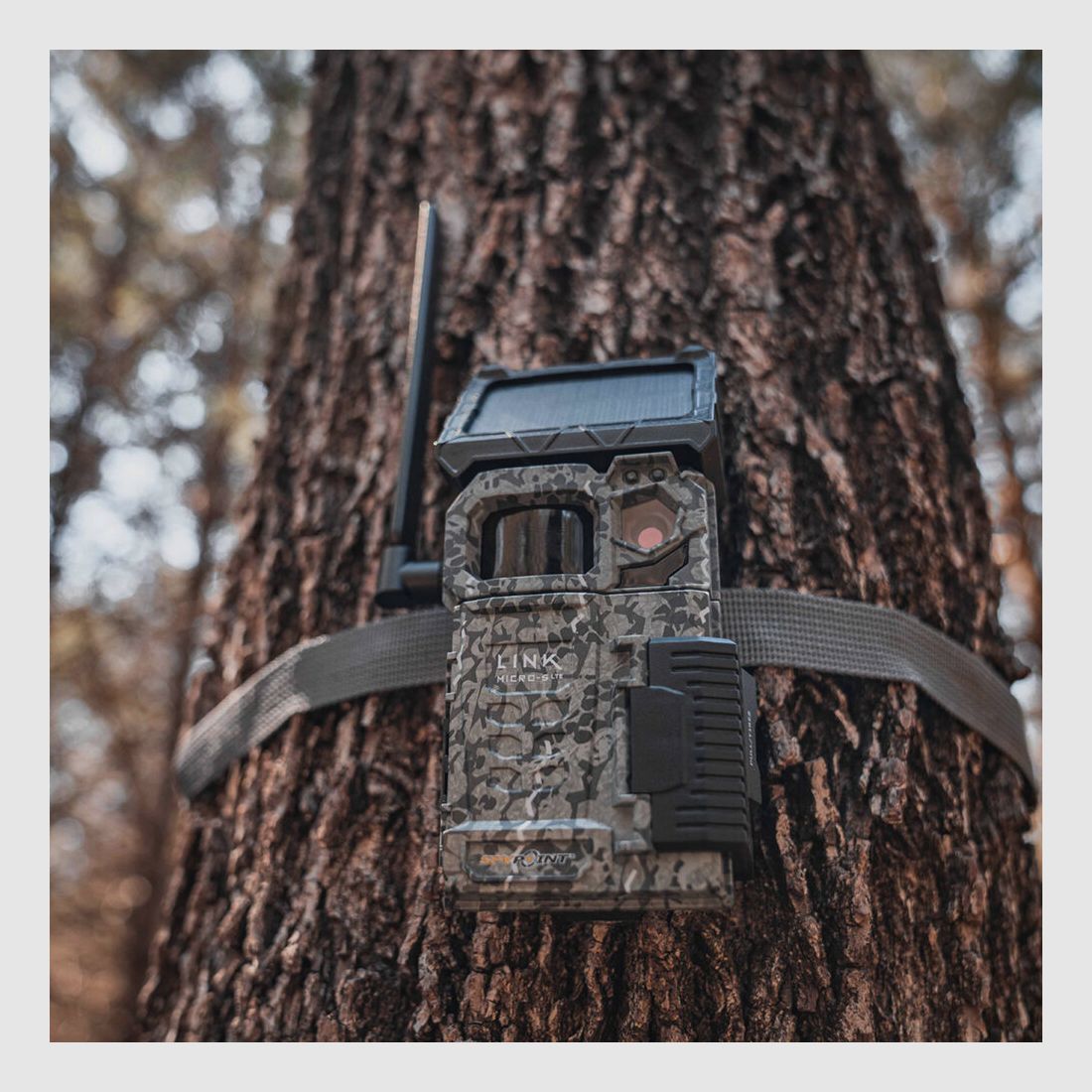Spypoint Spypoint Link-Micro-S
